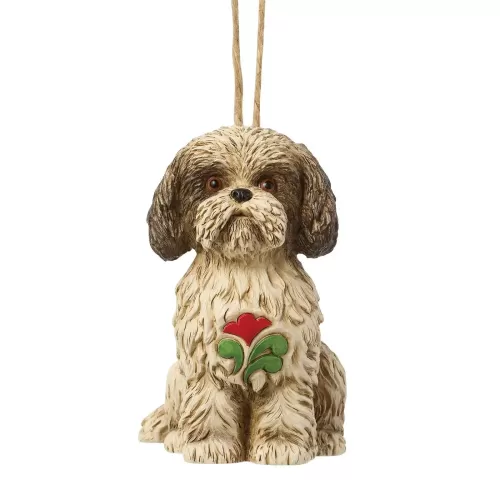 Shih Tzu Dog HO
