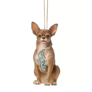 Chihuahua Dog HO