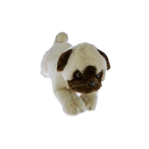 Pepito