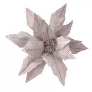 PINK POINSETTIA