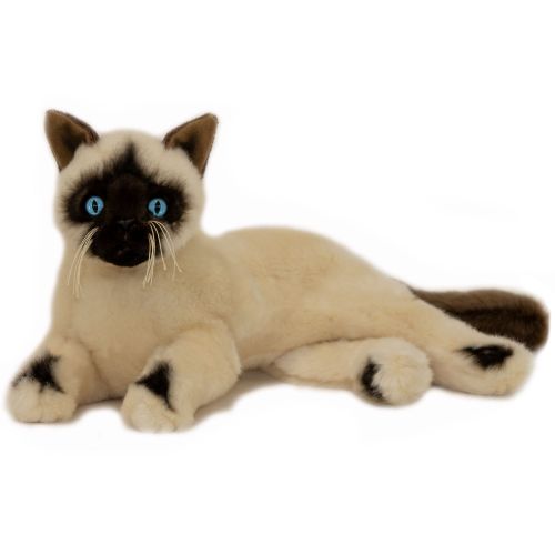Blossum - Siamese Cat